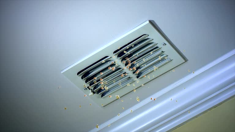 Best Professional Duct Cleaning Services  in Galls, IN
