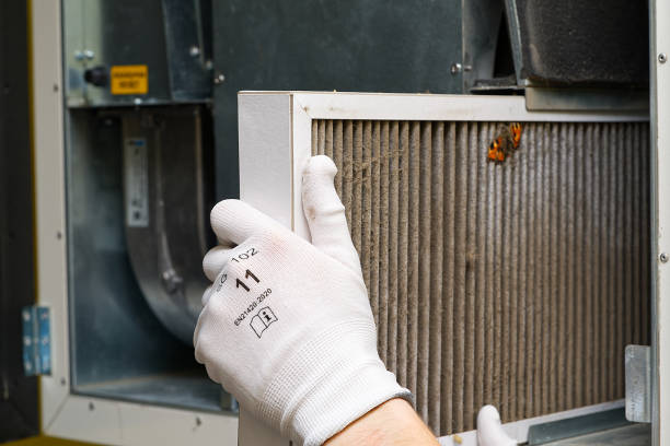 Best Dryer Vent Cleaning Services  in Galls, IN