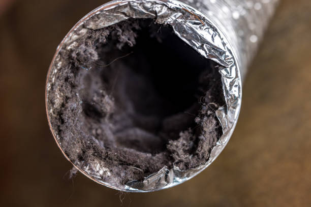 Best Duct Cleaning for Homes  in Galls, IN